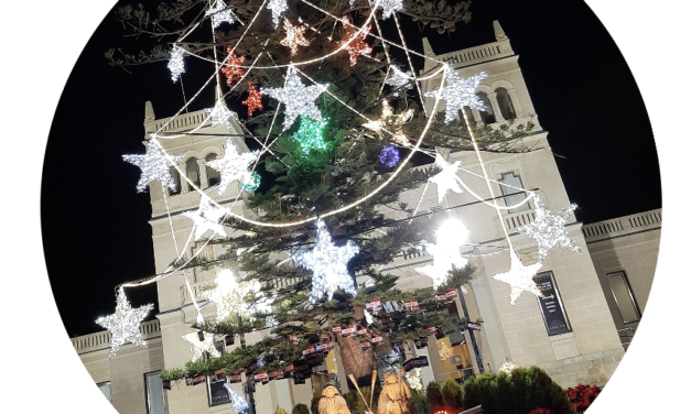 El  MARQ inicia la seua programació de Nadal amb l’encesa de l’arbre i activitats per a participar en família