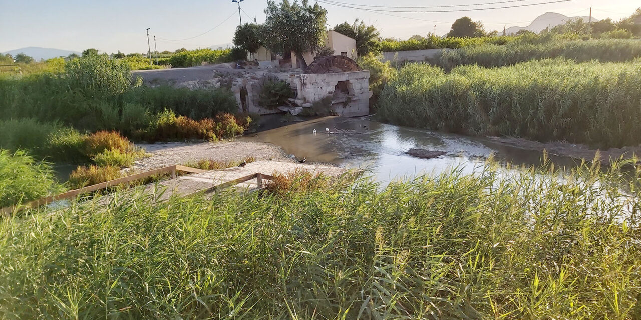 Regidoria de Patrimoni Històric d’Oriola adjudica la direcció d’obra per a la consolidació i rehabilitació de les Sénies Bessones Moquita i Pando