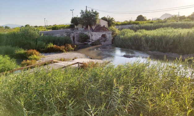 Regidoria de Patrimoni Històric d’Oriola adjudica la direcció d’obra per a la consolidació i rehabilitació de les Sénies Bessones Moquita i Pando