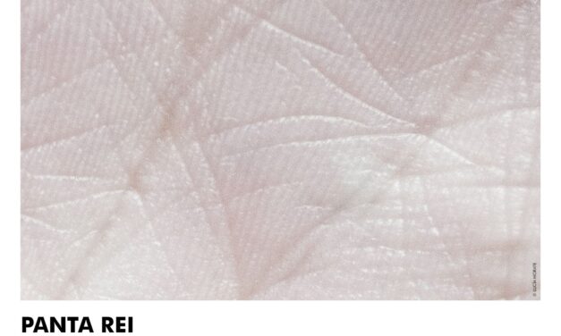 L’artista val·lisoletana Lucía Morate exposa “Panta rei” en el MUA