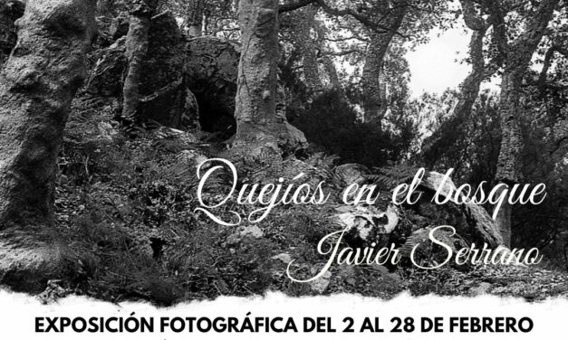 Javier Serrano ofrece su visión del Parque Natural de los Alcornoques y de la saca del corcho en la muestra ‘Quejíos en el bosque’ en el Museo del Calzado