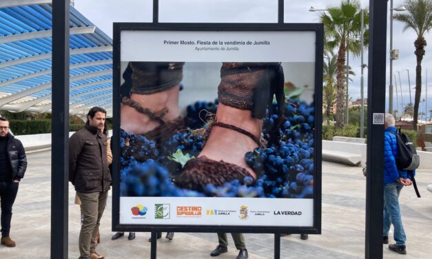 El Passeig Vista Alegre de Torrevella acull l’exposició fotogràfica ‘Viatge a una destinació singular’