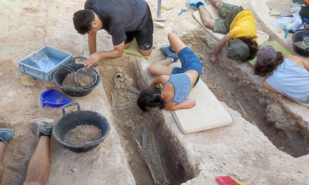 El MARQ programa 6 actuaciones arqueológicas en el Plan de Excavaciones 2023, dotado con 130.000 euros