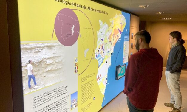 El MUPE alberga el mapa geológico más grande de la provincia de Alicante