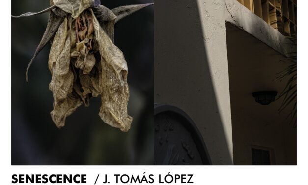 Photoalicante porta al MUA les exposicions ‘Senescence’ de J. Tomás López i ‘The Darkness of Light’ de Jeff Larson