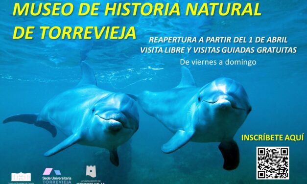 El Ayuntamiento de Torrevieja reabre el Museo de Historia Natural a partir del 1 de abril para visitas libres o guiadas