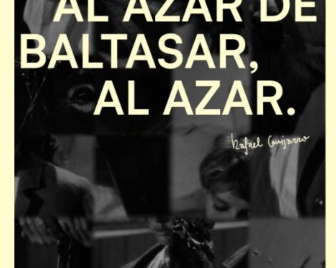 El Consorci de Museus y NEGRE presentan ‘Al azar de Baltasar, al azar’ en Las Cigarreras, una exposición audiovisual donde la suerte es la única que decide la trama