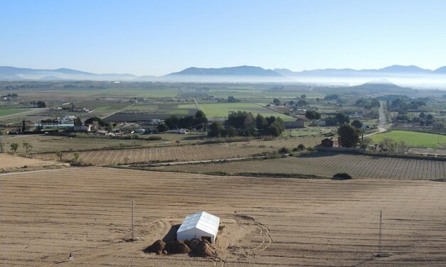 Les restes trobades al jaciment d’El Arenal de la Virgen de Villena revelen l’impacte de l’aridesa en les comunitats prehistòriques