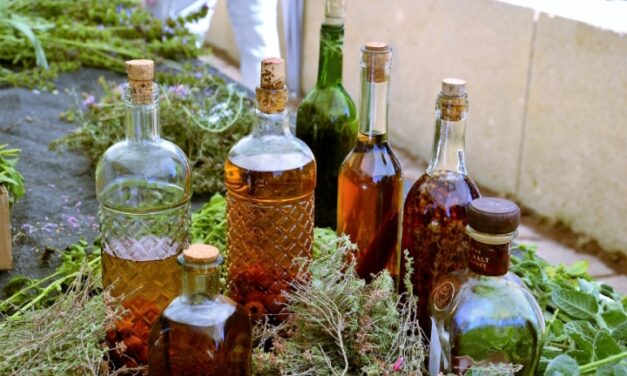 Una tesi de la UA alerta sobre la pèrdua del saber popular en l’elaboració de licors d’herbes