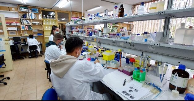 La Universitat d’Alacant destina 36.000 euros a finançar projectes d’investigació sobre gastronomia