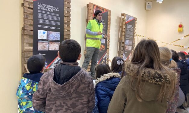La Exposición ‘2020 en la A-33, la autovía que descubrió un yacimiento’ llega a Elche