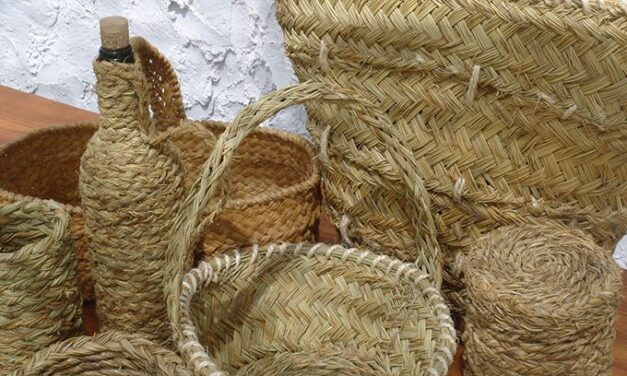 María Teresa Miñana impartirà un curs d’introducció a l’artesania de l’espart del 4 d’abril al 27 de juny