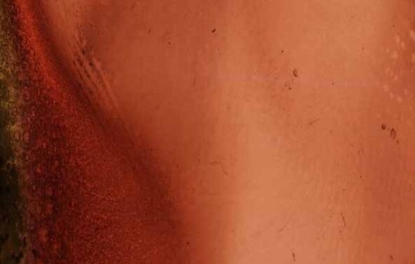 Aterriza Residències Creatives AUDIOVISUALS del Centre Cultural Les Cigarreras