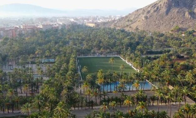 El Palmerar oriolà s’incorpora a l’Itinerari Europeu de Jardins Històrics