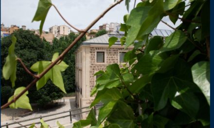 MuBoma celebra un any més el Dia Internacional dels Museus