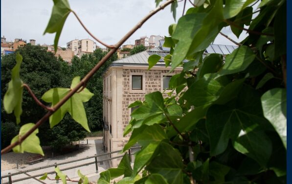 MuBoma celebra un any més el Dia Internacional dels Museus