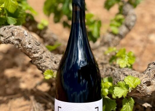Vins Algueña embotella la seua història amb “209 ànimes en una botella”