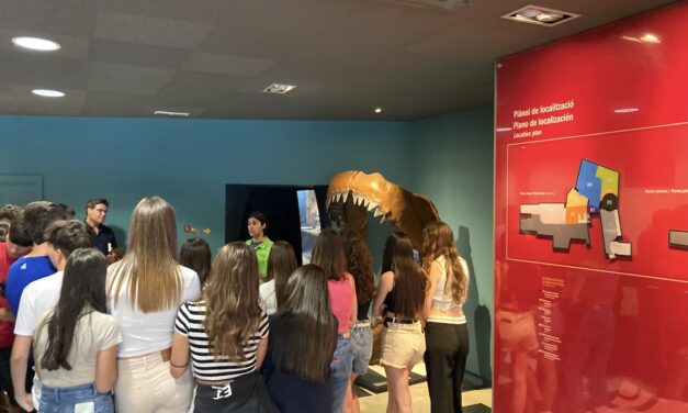 Un programa educativo en el MUPE acerca a más de 500 escolares la paleontología y geología