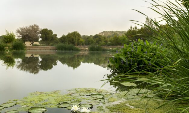 Hidraqua i les seues empreses participades ofereixen solucions innovadores en l’àmbit de l’aigua i els residus per a preservar el medi ambient