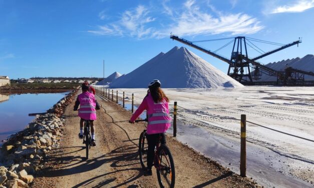 Informe estadístic d’afluència de visitants en les Oficines d’Informació Turística de Torrevella al juny i juliol de 2023