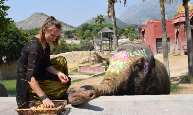 Més de 4.000 persones celebren el 51 aniversari de l’elefanta Petita en Terra Natura Benidorm