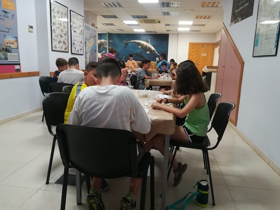 El MUPE rep un 24% més de visites que l’estiu passat