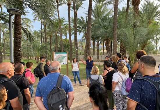 Se reanudan las visitas guiadas al Centro de Interpretación del Palmeral de Orihuela
