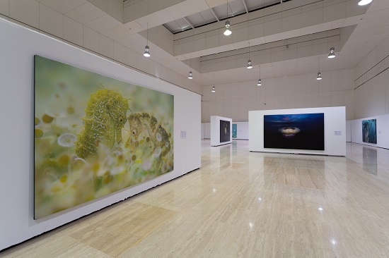La exposición ‘Mare Lucidum’ del reconocido fotógrafo Ángel Fitor llega a la Universidad de Alicante