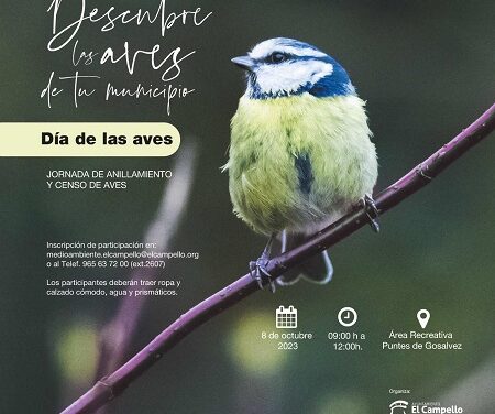 El 8 d’octubre, jornada d’anellament d’ocells a El Campello