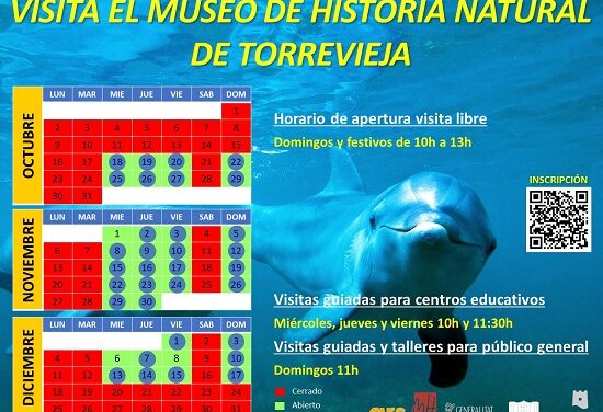 Cultura i Ars Creatio organitzen visites guiades i tallers gratuïts en el Museu d’Història Natural de Torrevella durant dos mesos