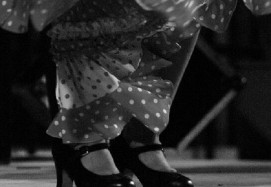 La relación entre poesía y flamenco centra la nueva edición del curso “Mundo y formas del Flamenco” en la Sede ciudad de Alicante