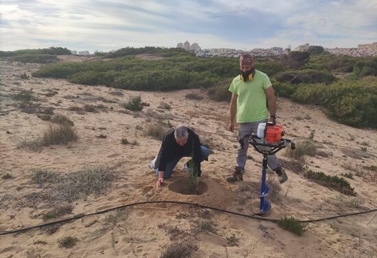 Avances en la restauración del Paraje Natural Municipal Molino del Agua de Torrevieja