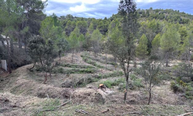 Acabado el cortafuegos de ’El Sargento’ de Alcoy