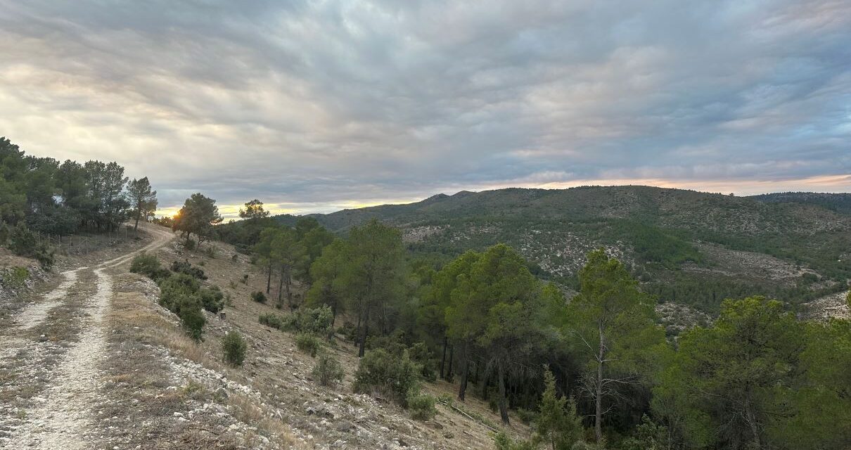 Acabat el tallafocs de ’El Sergento’ d’Alcoi