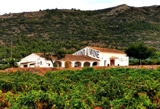 L’enòleg alfasino Pepe Mendoza al capdavant del Celler més Sostenible d’Espanya de 2024