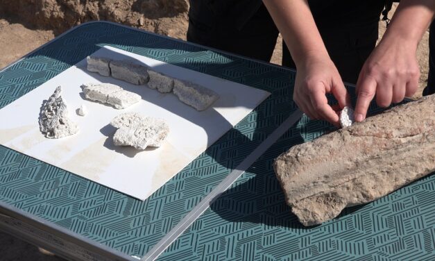 Los trabajos de excavación en la Villa Romana de l’Alfàs del Pi confirman la existencia del torcularium