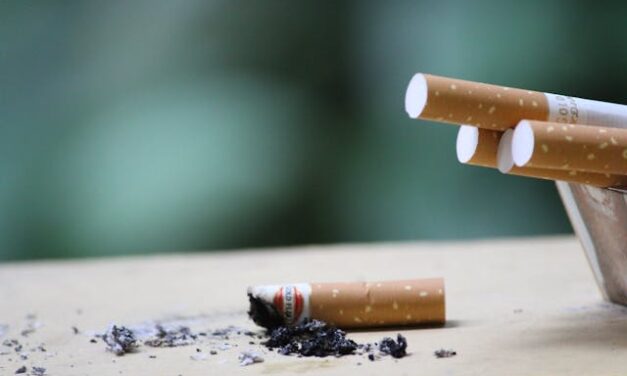 El cigarrico