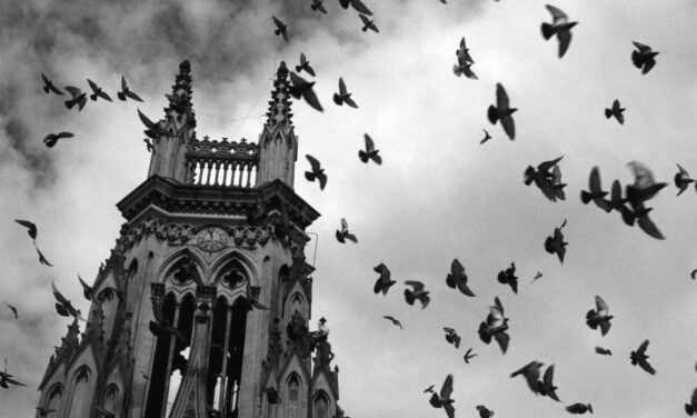 ‘Bajo esta luz que arrastra mi mirada a las sombras’, la selección de fotografías de García-Alix que llega al Museu Boca del Calvari de Benidorm