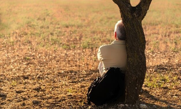 Reflexiones del ciudano Pérez: “Soledad”