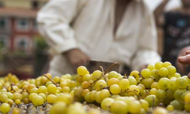 Se perfila la alineación de estrellas del D*na Festival de Dénia