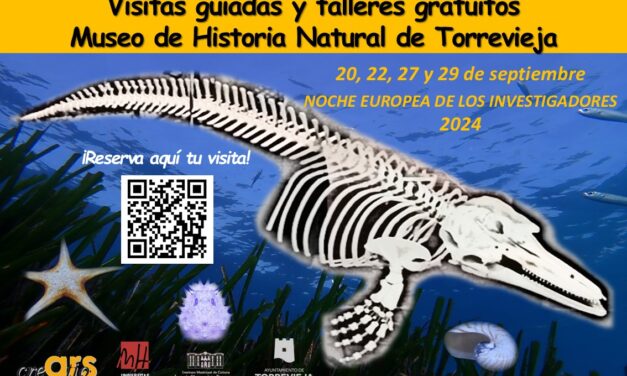 Vuelven las visitas guiadas y talleres del cerebro en el Museo de Historia Natural de Torrevieja por la noche Europea de los investigadores