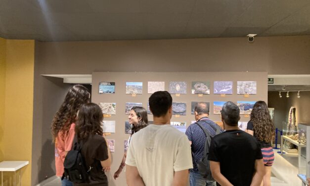 El Museo Palteontológico de Elche editará su primera «Guía del visitante»