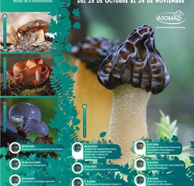 Vuelven las Jornadas Micológicas al Museo de la Biodiversidad de Ibi