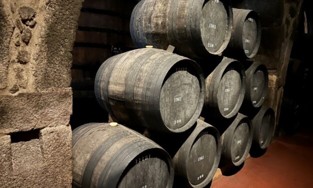 El enoturismo y la gestión del sector vitivinícola, protagonistas de dos jornadas en la Universidad de Alicante