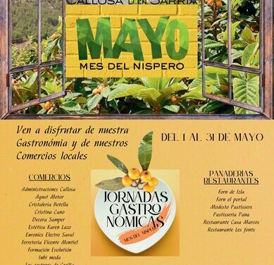 Callosa d’en Sarrià celebra las Jornadas del Mes del Níspero 2025 del 1 al 31 de mayo bajo el lema “Ocio y Negocio”