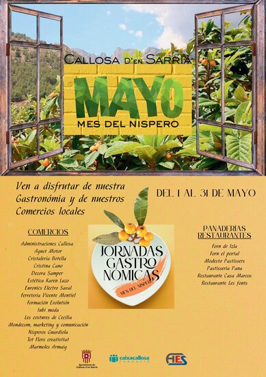 Callosa d’en Sarrià celebra las Jornadas del Mes del Níspero 2025 del 1 al 31 de mayo bajo el lema “Ocio y Negocio”