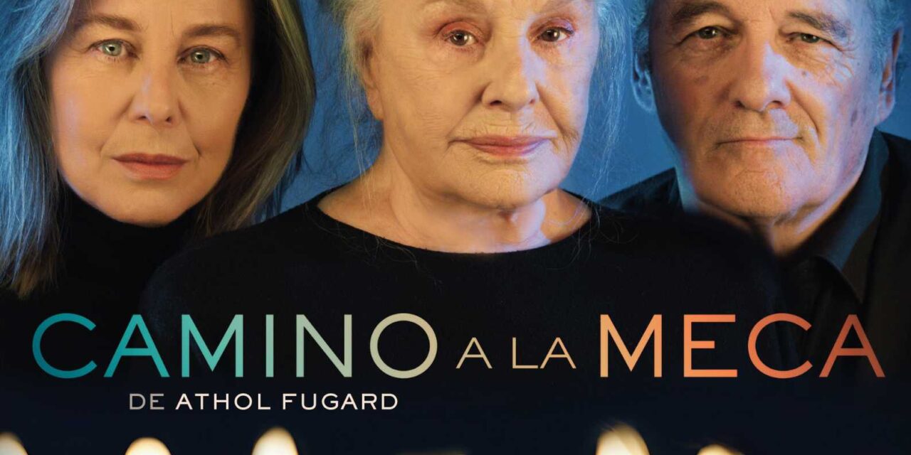 Esta semana en el Principal humor y teatro