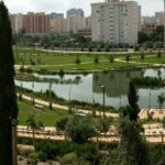 Aguas de Alicante premiará al mejor cortometraje medioambiental en el Festival de Internacional de Cine de Alicante