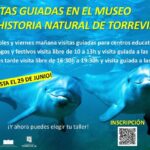 El MUSEO DE HISTORIA NATURAL de Torrevieja abrirá este domingo 18 de mayo con motivo del  DÍA INTERNACIONAL DE LOS MUSEOS