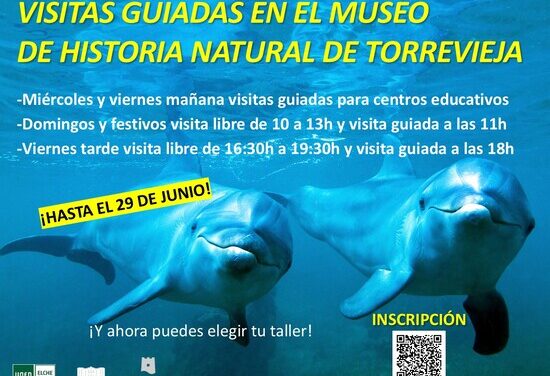 El MUSEO DE HISTORIA NATURAL de Torrevieja abrirá este domingo 18 de mayo con motivo del  DÍA INTERNACIONAL DE LOS MUSEOS